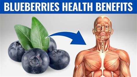 blurrberry|blueberry benefits for men.